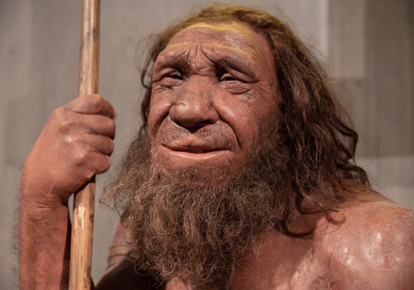 Neandertal Museum